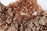 Fibrous, Rose-Red Inesite Crystal Aggregation - South Africa #212766-2